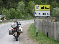 8640_p-brustu.JPG